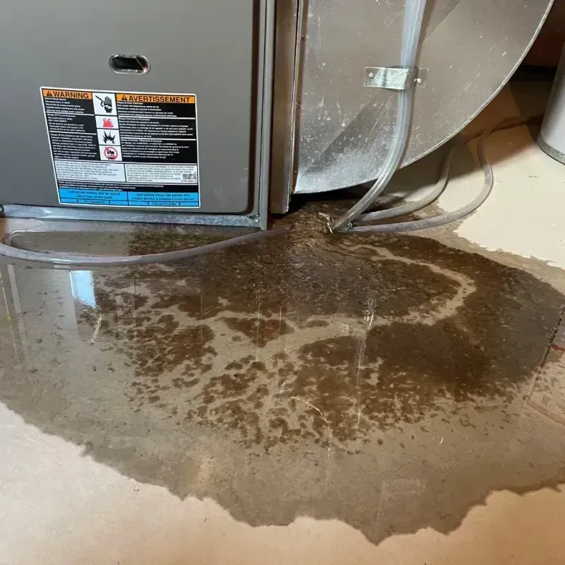 Appliance Leak Cleanup in Midway City, CA